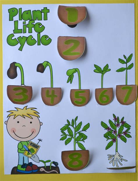 Bible Fun For Kids: God Makes Flowers and Plants