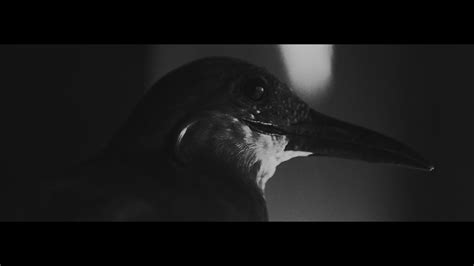 Ассаи – Унижать и любить [Official Video], 2016 - YouTube