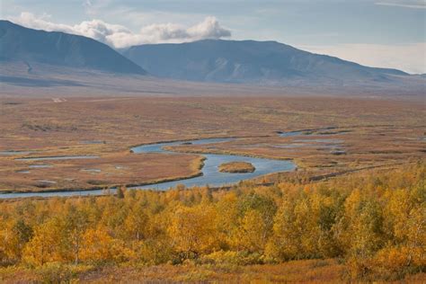 Луг янао - красивые картинки и обои на рабочий стол