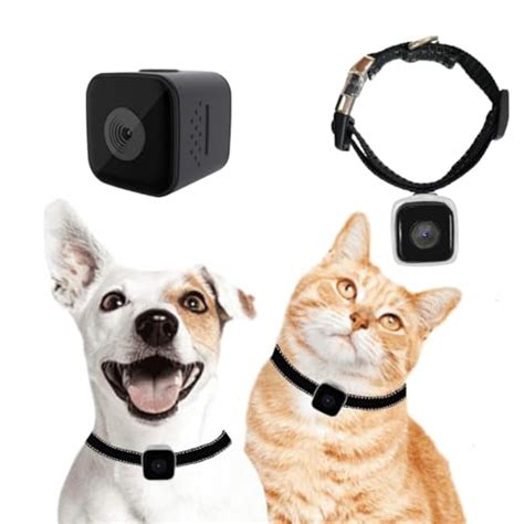 Amazon Best Sellers: Best Pet Cameras & Monitors