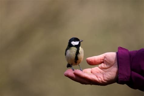 Learn something new | Gloucestershire Wildlife Trust