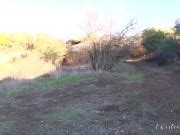 Twistedvisual Outdoor Lesbian Pussy Eating With Brunette Milf Dana Vespoli And Ashlyn Molloy