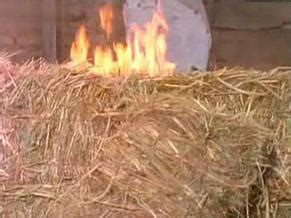 El Charro Chano Nude Scenes Aznude