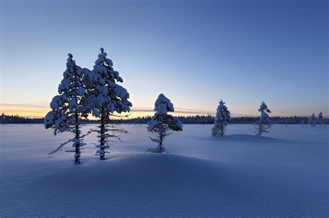 Trees Covered by Snow In Winter Wallpaper, HD Nature 4K Wallpapers ...