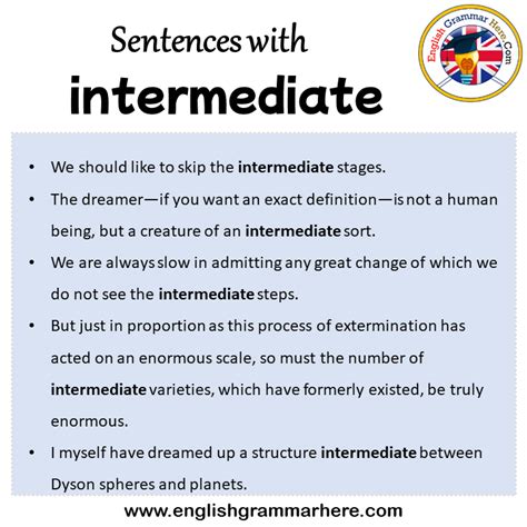 Sentences with intermediate, intermediate in a Sentence in English ...