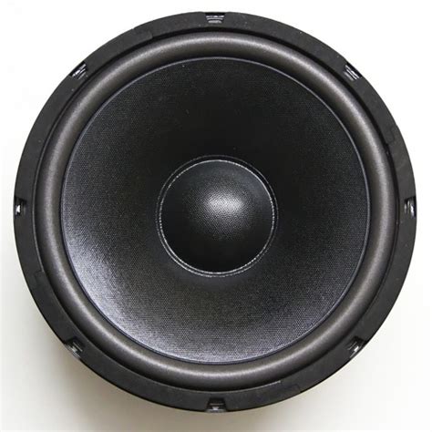 Stream Bass Pussy Music Listen To Songs Albums Playlists For Free On SoundCloud