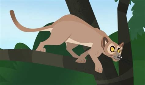 Wild Kratts Fossa Palooza Atelier Yuwa Ciao Jp