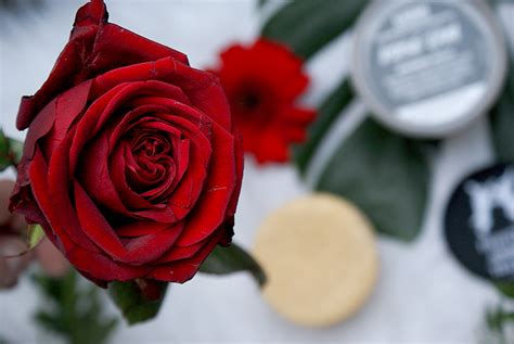 Review Lush Ros Argan Sparkly Naked Body Conditioner Oh My Lush