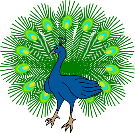 Download Stylized Peacock Illustration