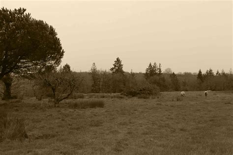 Dans La Vall E De Fabrice Hyber