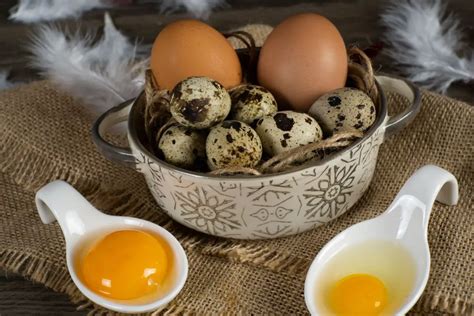 Quail Eggs VS Chicken Eggs: All You Need To Know