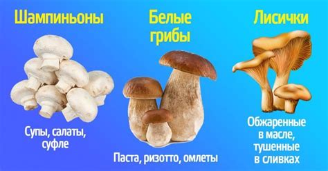 Как приготовить разные грибы: полезные советы - Со Вкусом