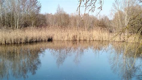 Oasi Di Riequilibrio Archeologico Della Villa Romana RA Russi Emilia