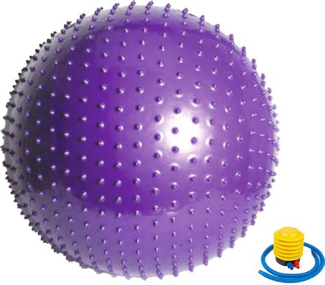 Мяч для фитнеса Newt HMS массажный 65 см Фиолетовый (NE-MAS-65-V ...