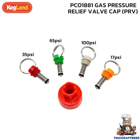 วาล์ว Gas Pressure Relief Valve Cap Prv Kl20176 Pco1881 Shopee Thailand