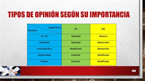 Auditoria I Tipos De Opini N Seg N Su Importancia