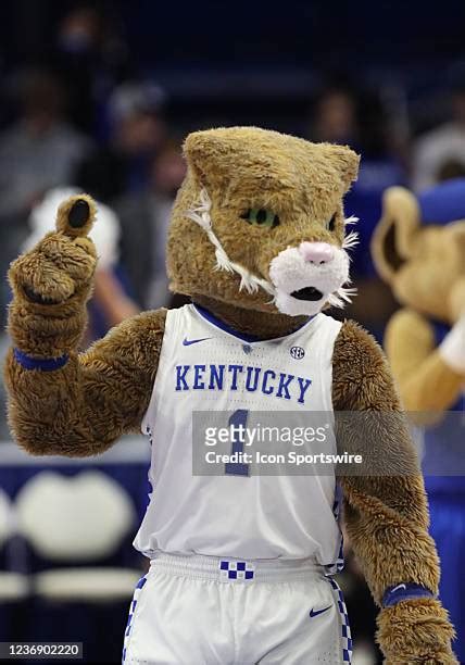 Kentucky Wildcats Mascot Photos and Premium High Res Pictures - Getty ...