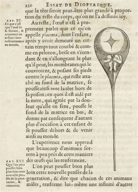 What A Th Century Sex Guide Tells Us About The Evolution Stasis Of Western Norms