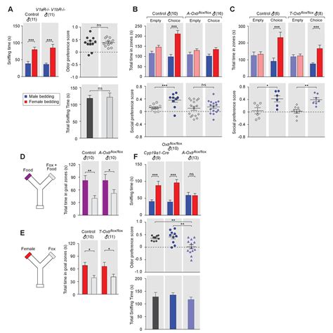 Figures And Data In Oxytocin Signaling In The Medial Amygdala Is Required For Sex Discrimination