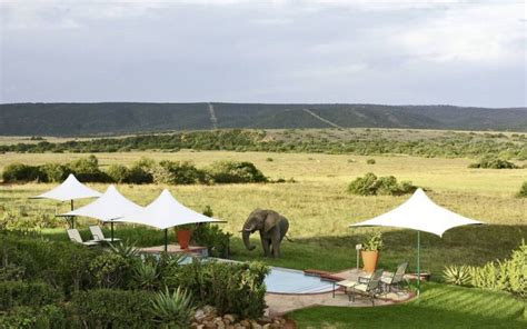 Shamwari Game Reserve Eastern Cape A Hotel Featured By Kuoni Travel