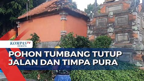 Pohon Tumbang Tutup Jalan Dan Timpa Pura YouTube