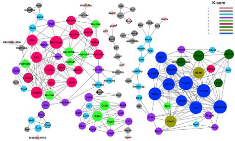 Gene Co Expression Network Genes Contained In Significant Go Terms Download Scientific Diagram