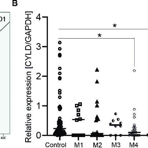 correlation  cyld expression  clinical outcomes  aml