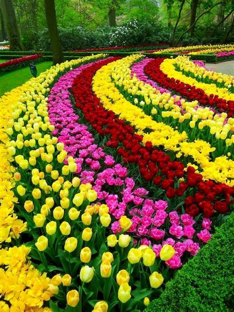 Famous Flower Garden Ideas Images 2023