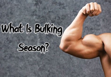 What Is Bulking Season