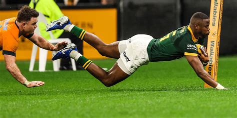 Springboks Tries In The Rugby Championship