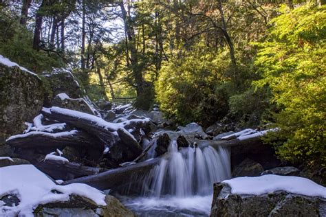 Estas Son Las Fotos Ganadoras Del Concurso Fotogr Fico Todo Uble