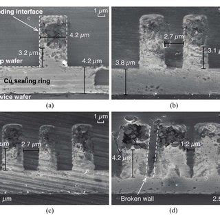 Cross-sectional SEM images of the bonding interfaces of different ...