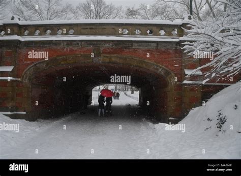 Central Park after the snowstorm, NYC Stock Photo - Alamy