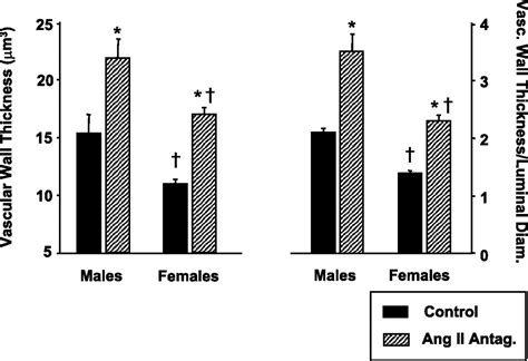 Sex Differences In The Renal Changes Elicited By Angiotensin Ii Blockade During The Nephrogenic
