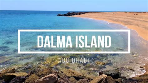 Dalma Island Abu Dhabi A Hidden Gem In The Uae Arab Mls