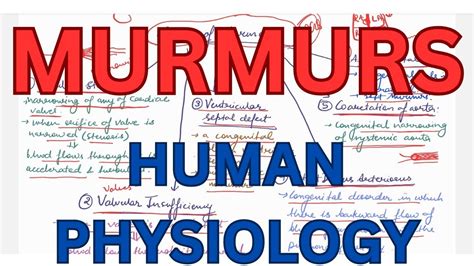 Murmurs, Abnormal heart Sounds, causes of murmurs, Human Physiology ...