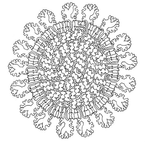 PDB-101: Learn: Coloring Books: Coloring Coronavirus