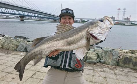 ルアーシーバス釣行：大会本番ラストでドラマが！【東京都・荒川】 Tsurinews