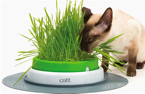 Catit Senses Grass Planter Products