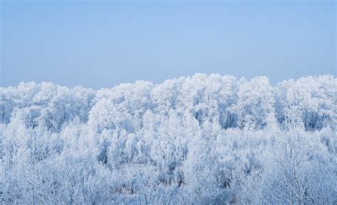 Snowy Landscape Free Stock Photo - Public Domain Pictures