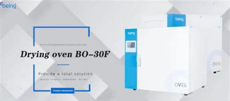 Large Electric Blast Drying Oven Hot Air Sterilizing Lab Industrial Drying Oven Industrial