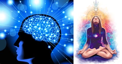 simple ways    body heal  david avocado wolfe