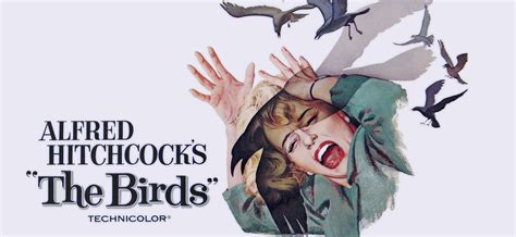 'The Birds' TV Remake Coming From The BBC And Harry Potter Producer