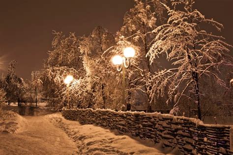 Premium Photo Winter Evening In The Park Snowy Evening In The Park