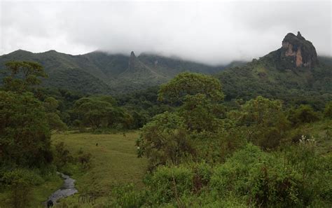 Services | Travel Ethiopia | Explore Ethiopia - Handcrafted Holidays