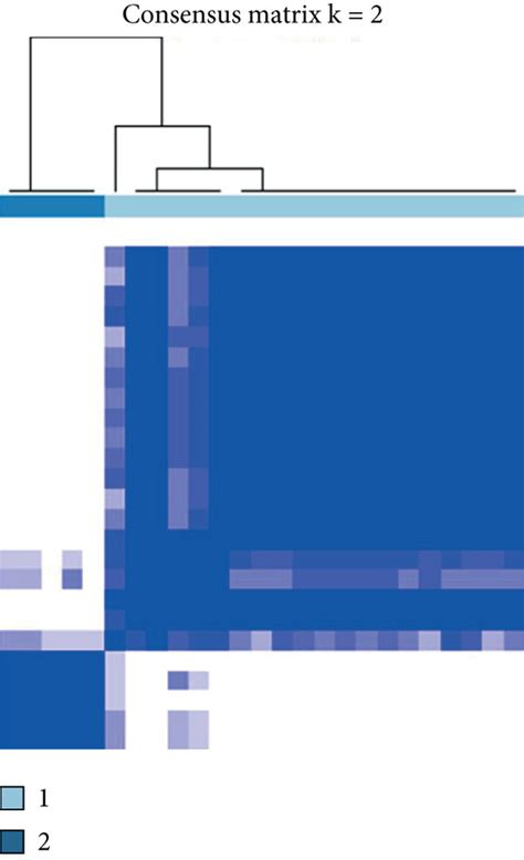 A Consensus Clustering In The Consensusclusterplus Package Was Used