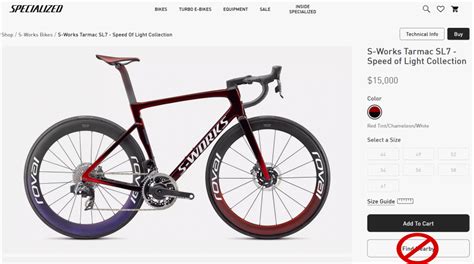 specialized  direct mamilian