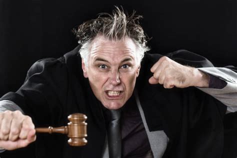 960 Funny Judge Stock Photos Pictures And Royalty Free Images Istock