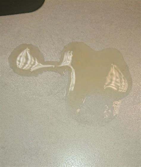 Soft Wank Gay Amateur Amateur Porn Feat Bornerect Xhamster