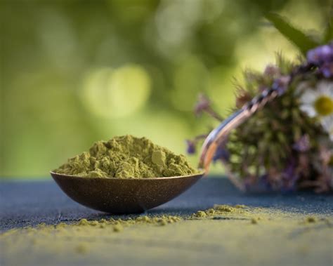 Organic Premium Matcha Green Tea Powder From Japan Biopapa